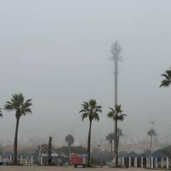 Wenn es nur helfen würde, die Muezzin Lautsprecher Palme nicht nur weniger zu sehen