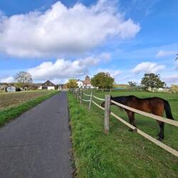 ....der mit 240 m höchste Ortsteil von Lohmar.