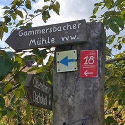 ....führt der Weg zur Gammersbacher Mühle....