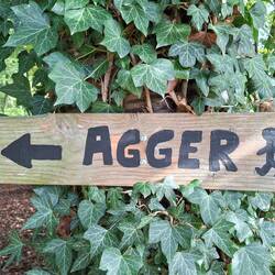 Immer wieder liebevolle Wegweiser.