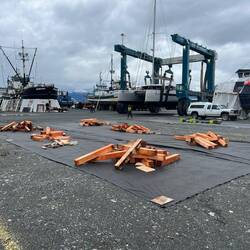 New timber for us!