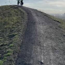 Tanz der Krähen am Kamm der Mottbruchhalde