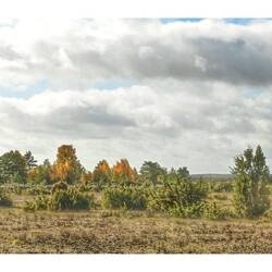 Eine unwirklich anmutende Landschaft..