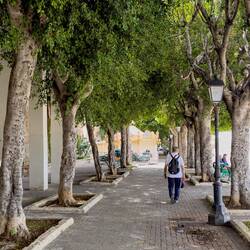 Tree shaded promenade along Foro Vittorio Emanuele II.
