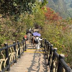 Soooo many stairs - down can be almost as hard as up!