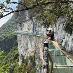 Glass plank walk