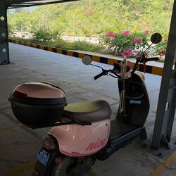 My transportation for the day!