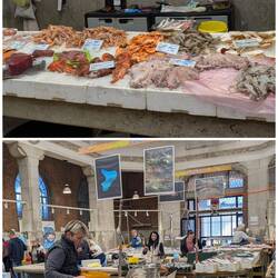 Fisch