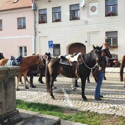 Kurze Rittpause