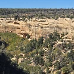 The canyon was like a highway to visit all the neighborhood.