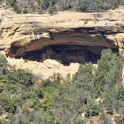 Cliff Palace from across the canyon.