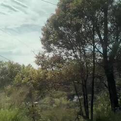 Kolumbien Landschaft aus dem Bus aus