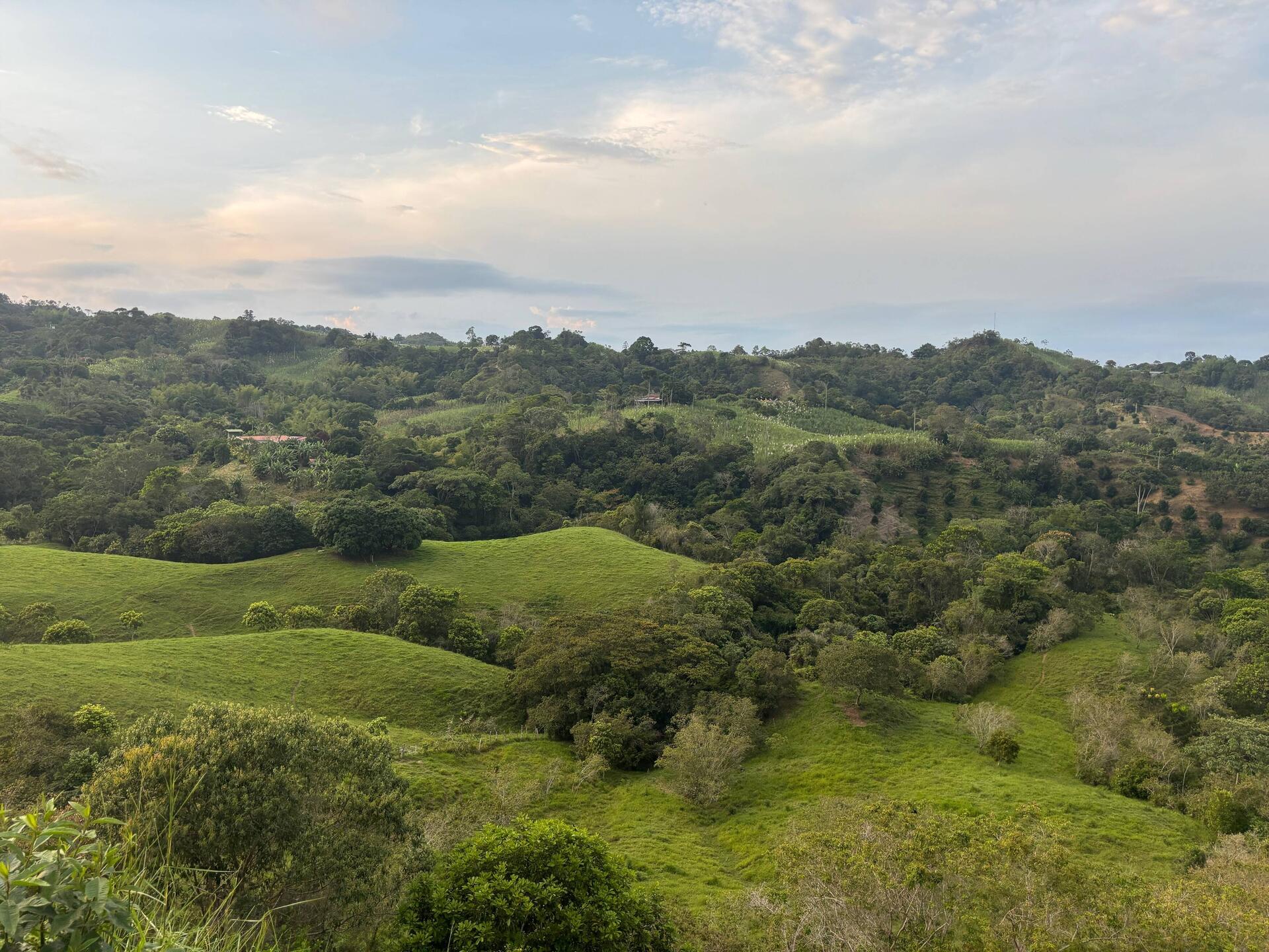Aussicht beim Spaziergang