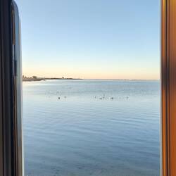 Guten Morgen Flamingos