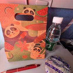 Cute lunch on the plane - "all things panda" begins