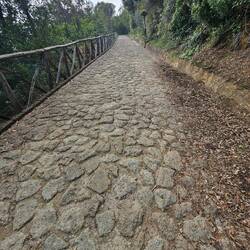 The stone path covering the 14 switchbacks