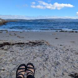 What a joy to see the ocean !!