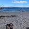 What a joy to see the ocean !!