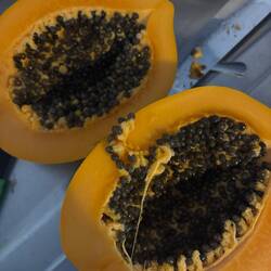 Papaya hab ich heut auch probiert, mag sie aber immer noch nicht soo gern:/