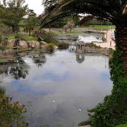 Steinbruch als Naturidylle direkt am Parque Rodo