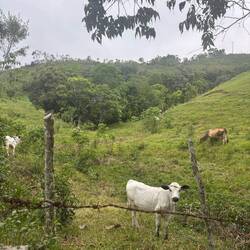 Spaziergang