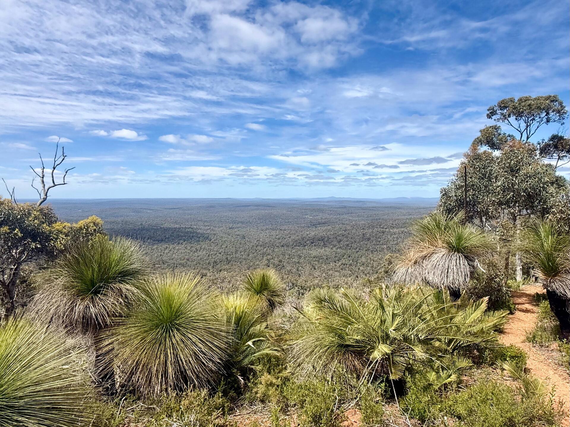 Aussicht von "Mount Dale" (546 m)
