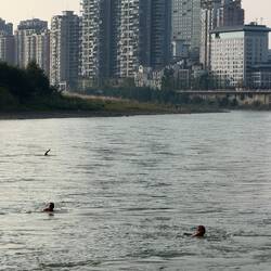 SO MANY people were swimming in the river - they just kept coming