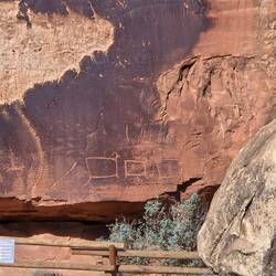 This petroglyph is called "TV Sheep".