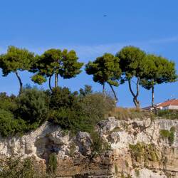 Trees on the ridge of the Monumental Area of Neopolis — Siracusa.
