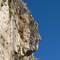 I spy a rock bust in profile. Do you?
