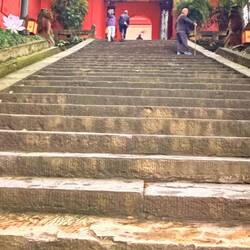 Sooo many stairs