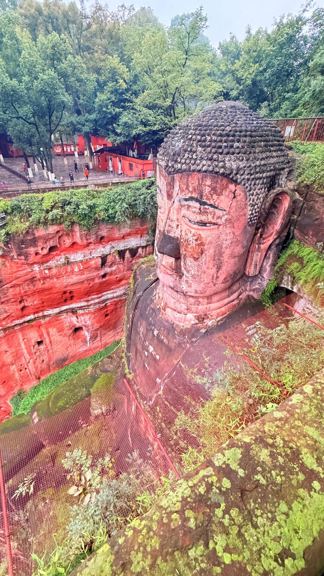 View from the top