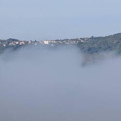 Morgennebel