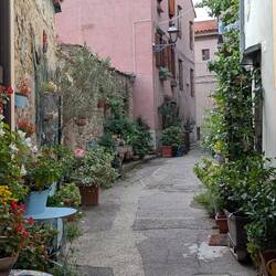 Alles grünt und blüht in den kleinen Gässchen von Muggia