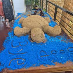 Sandschildkröte