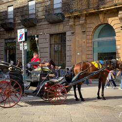 Horse carriage ... just like the ones we rode in when I was a kid in İzmir, Türkiye.