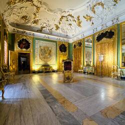 Room of the Coat of Arms ... Palazzo Alliata di Villafranca.