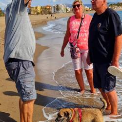 Erstmal zum Hundestrand...