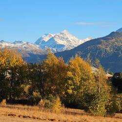 die letzten Herbst-Sonnenstralen