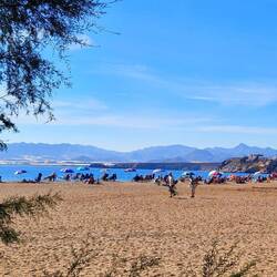 Gut besucht, der Menschenstrand!