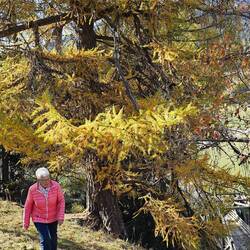 und starteten zu einer schönen Herbstwanderung, der Rhone entlang