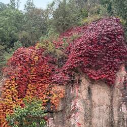Chiang Kai-shek was captured here - 1936