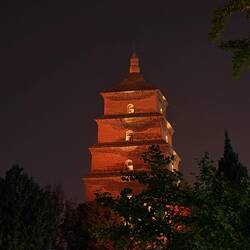 Giant wild goose pagoda at night