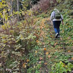 eine Treppe, nach 3 Stunden ? Wäre wirklich nicht nötig gewesen