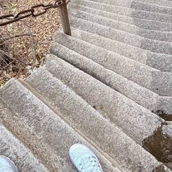 ... and so narrow you had to side step to go down