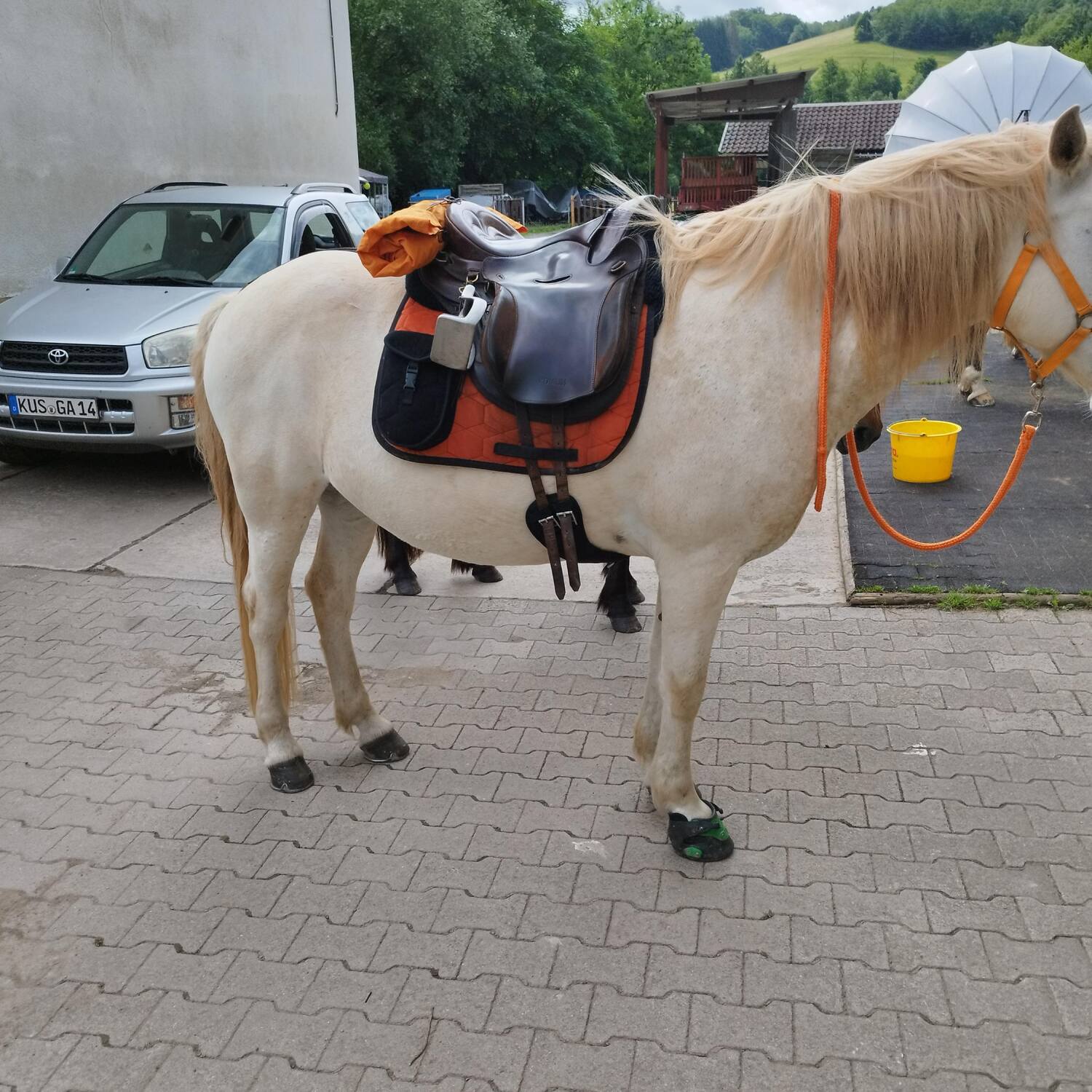 Pfingstwanderritt 2025