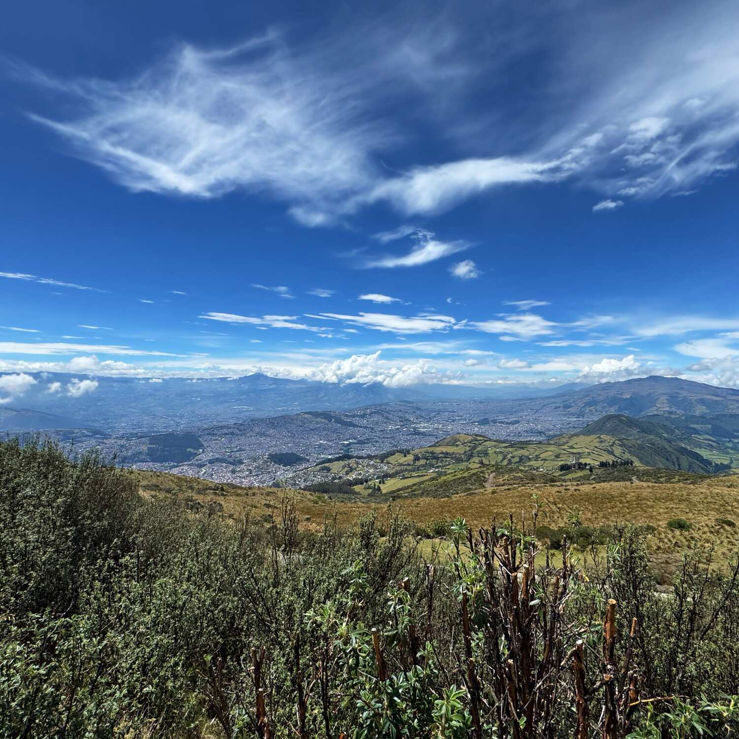 Die Reise unseres Lebens II