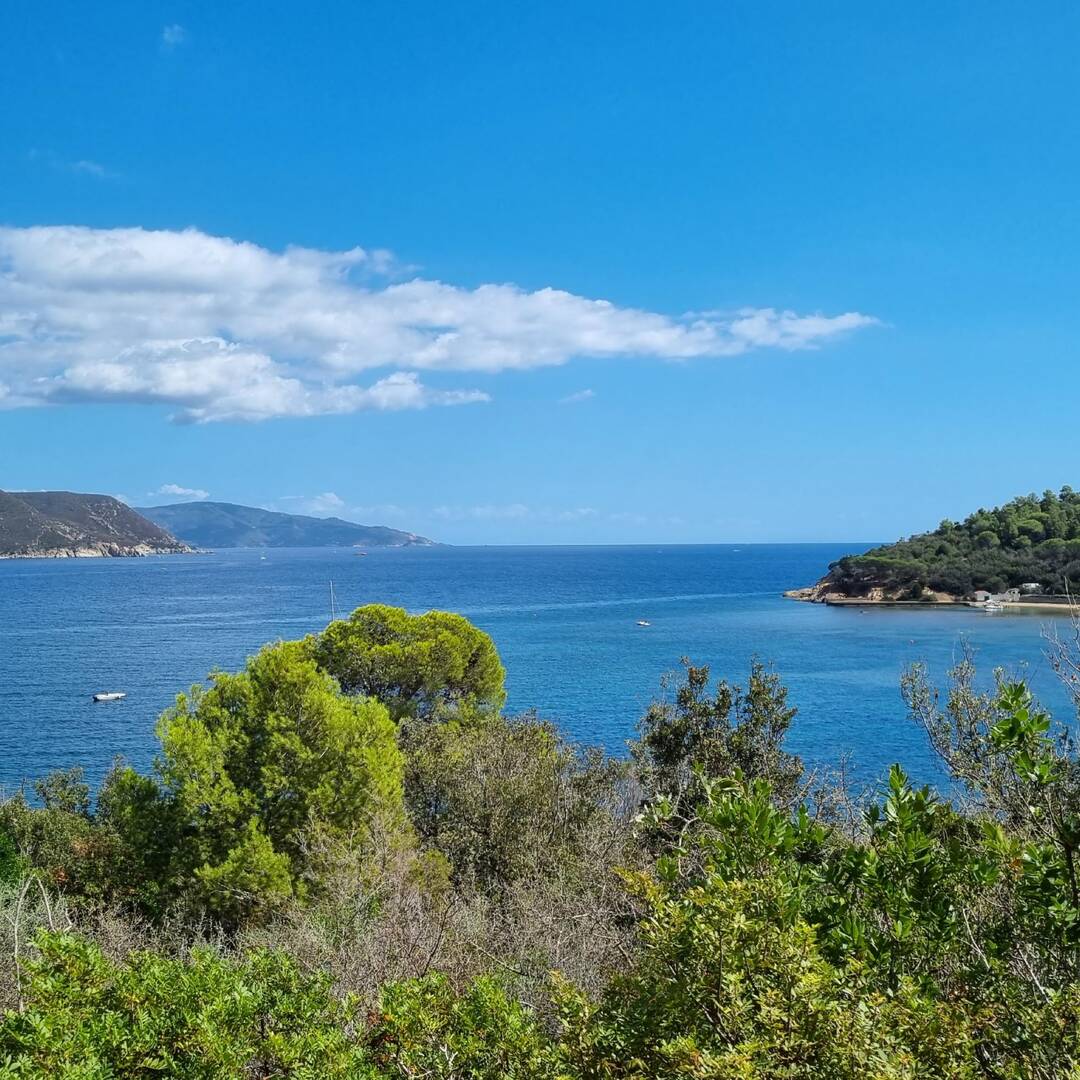 Auf geht's Richtung Elba