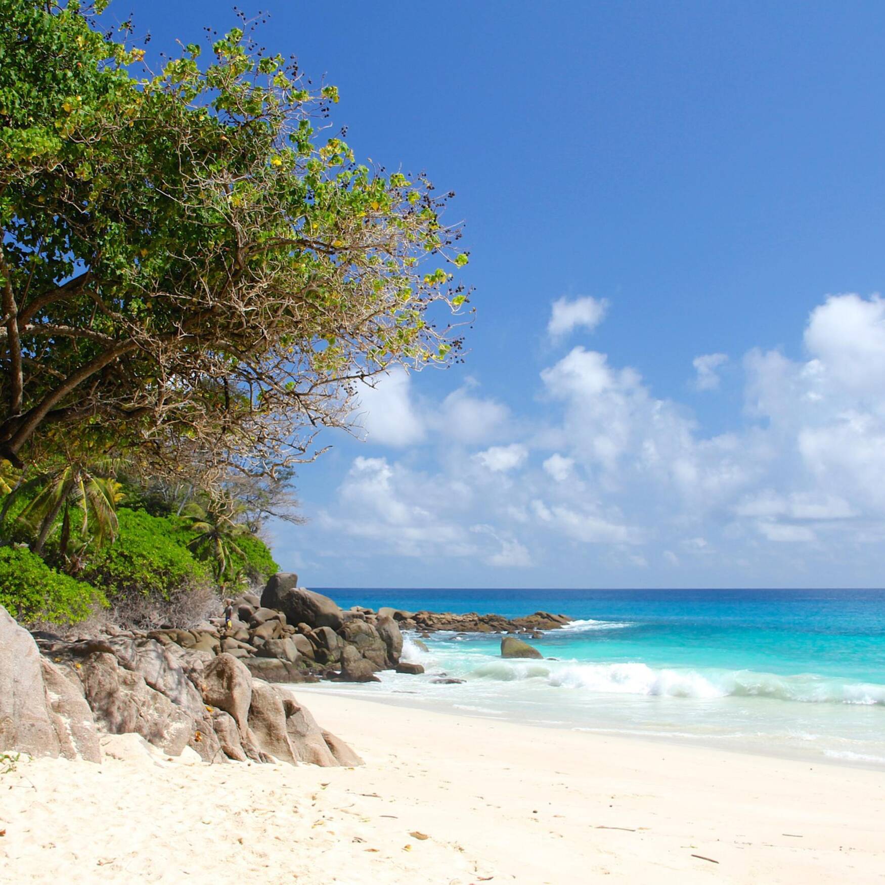 A Sojourn in the Seychelles