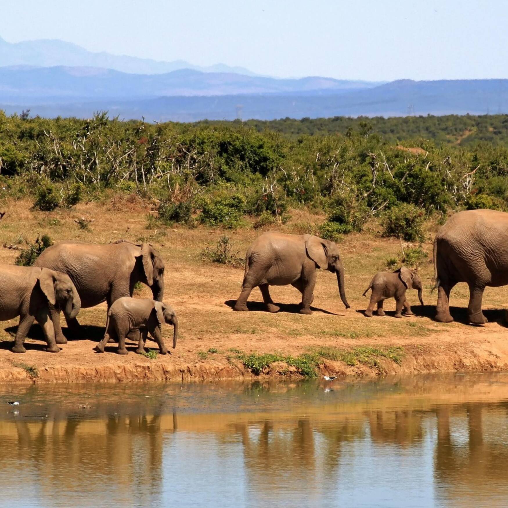 Overlanding Through Africa